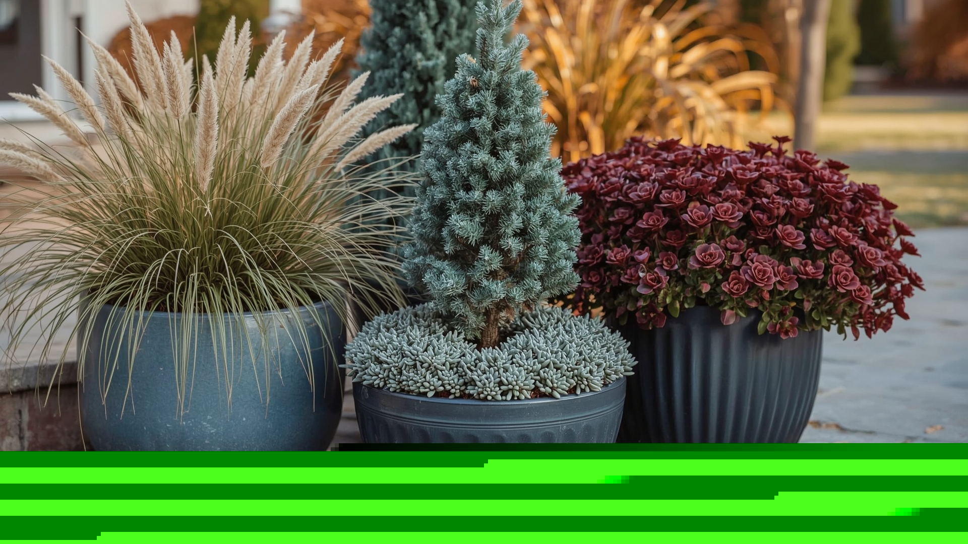 Cold-hardy year-round container plants including ornamental grass dwarf conifer and heuchera on patio