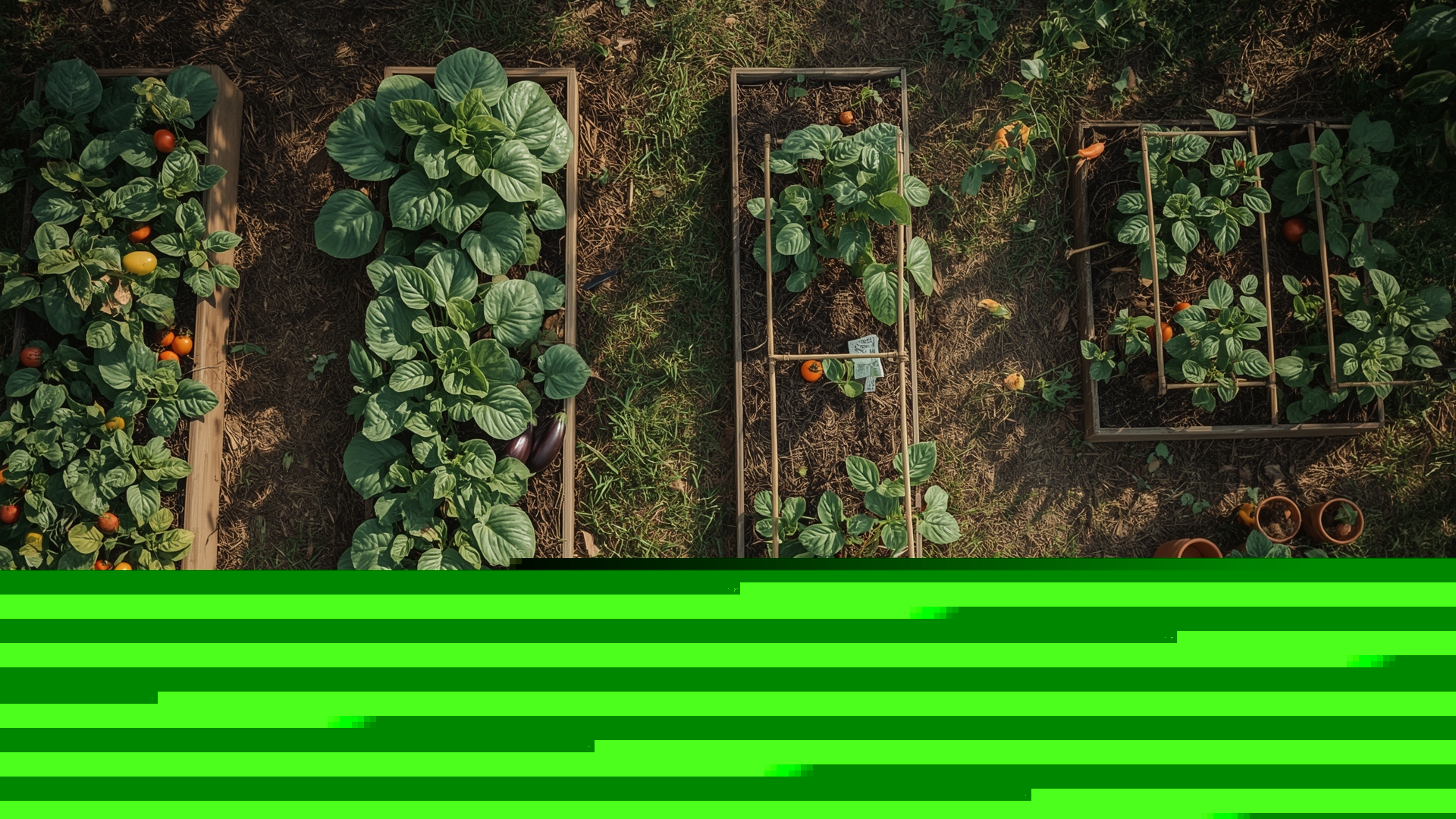 How to Start a Garden on a Budget: Smart Strategies to Grow More for Less