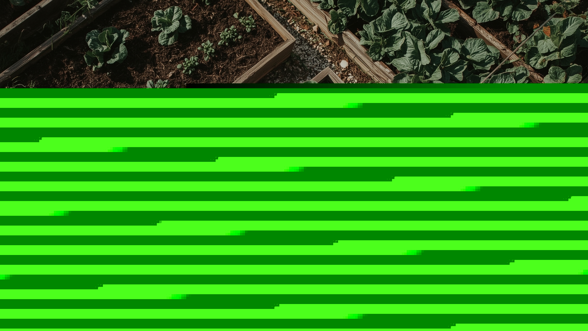 Vegetable Garden Bed Rotation Tracker: How to Record, Plan, and Protect Your Soil Year After Year